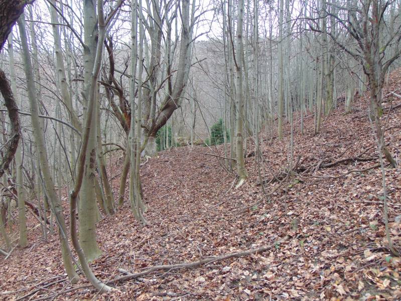 DSC01633.JPG