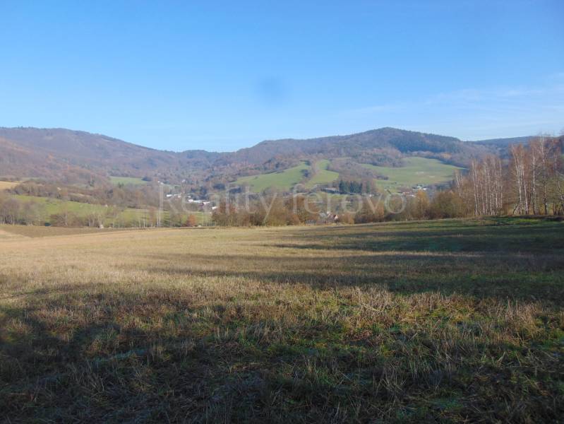 DSC01658.JPG
