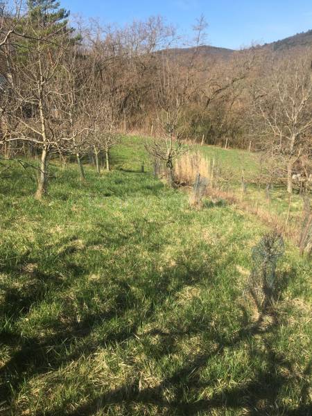 received_180055034841218.jpeg