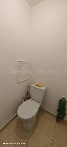 IMG_20250226_125913.jpg