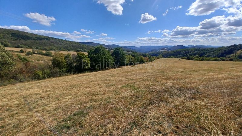 20260901_141508.jpg